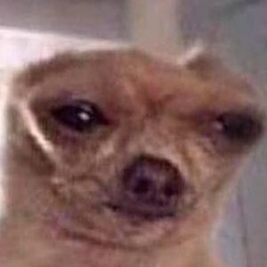 Meet your Posher, Phillip